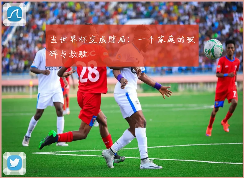 当世界杯变成赌局:一个家庭的破碎与救赎