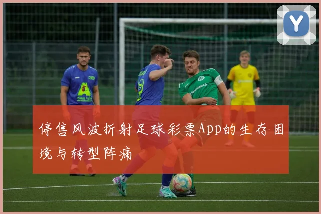 停售风波折射足球彩票App的生存困境与转型阵痛
