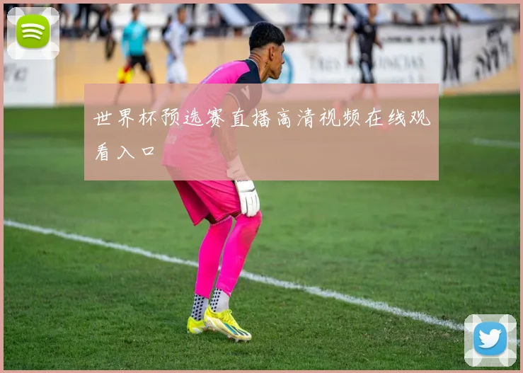 世界杯预选赛直播高清视频在线观看入口